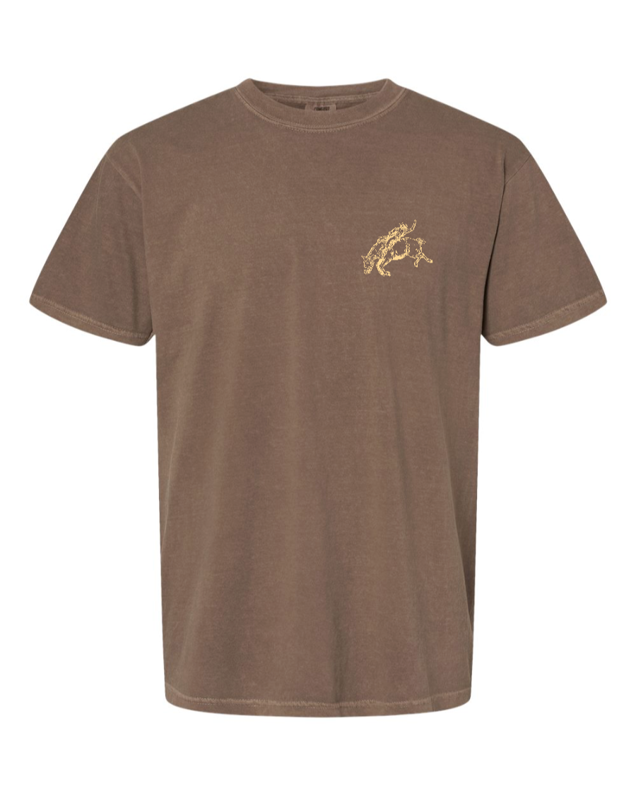 Be Strong and Courageous T-Shirt