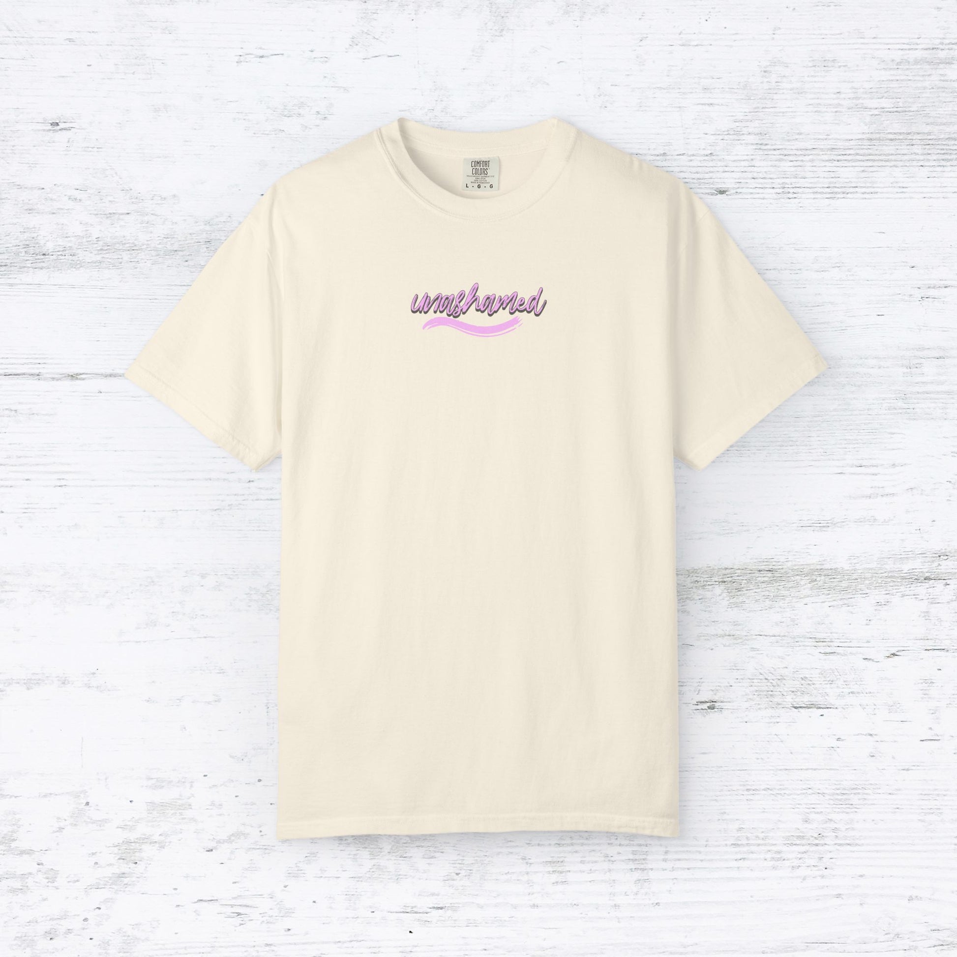 Not Ashamed of the Gospel Women's T-shirt